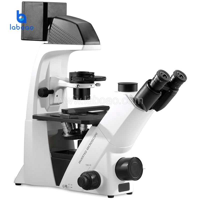 Microscopio invertido biológicos para la Investigación en Ciencias de la vida