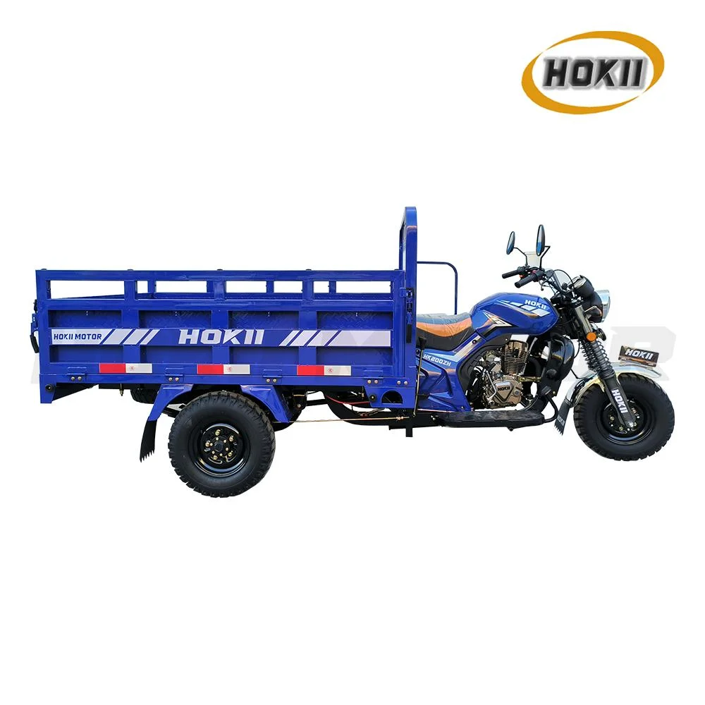 250cc Gasoline Tricycle Cargo Heavy Load 2023 New Model Petrol Engine Thick Spring Leaf for Sale