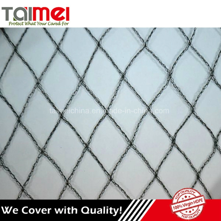 China Agricultural Plastic Orchard HDPE Anti Bird Netting