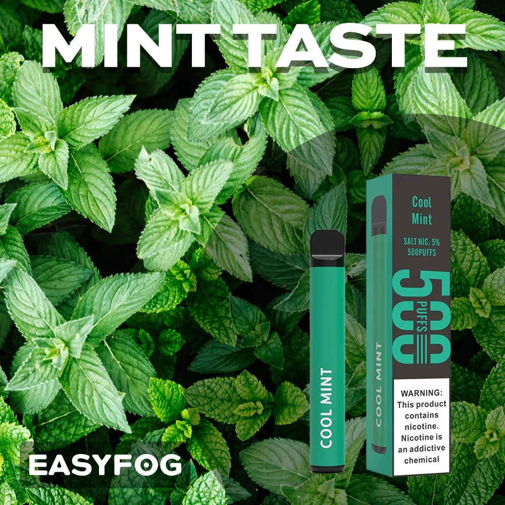 Ganzheit Verkauf Portable Mint Flavour Vape Kit Einweg Vape