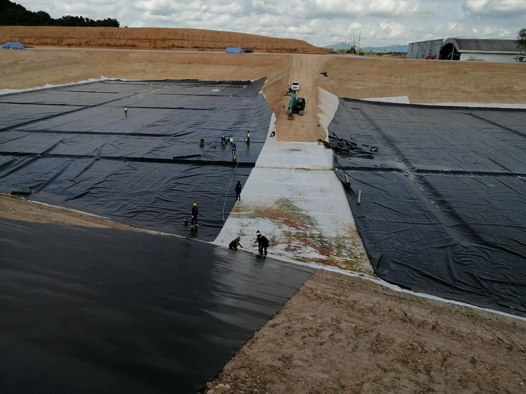 ASTM Standard ISO Certification GM 13 Polyethylene Sheet HDPE Geomembrane 0.5mm 0.75mm 1.0mm 1.5mm 2.0mm Shrimp Fish Pond Lining Liner Tunnel Landfill