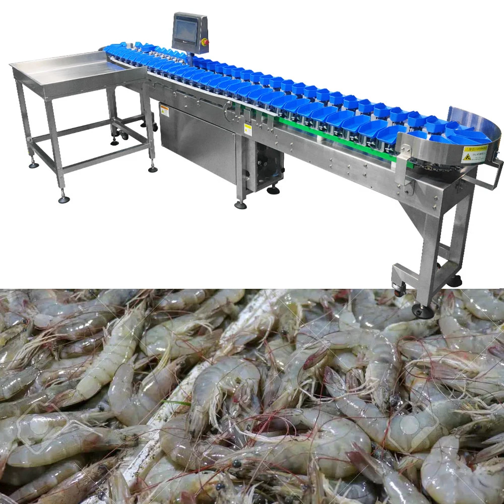 Tt-Wsm-03 Full Stainless Steel Frame Weight Checking Sorting Machine for Shrimp