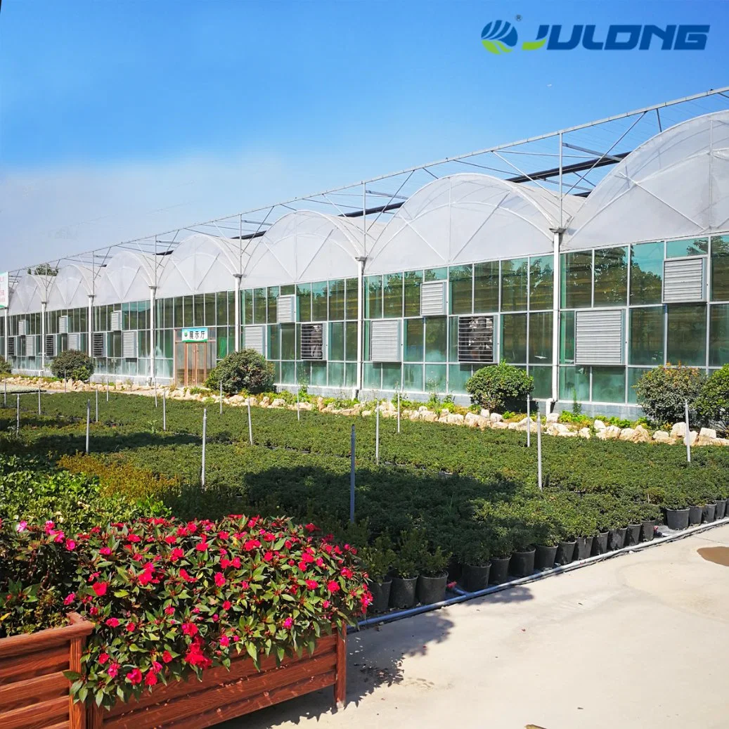 Agricultural Machinery High quality/High cost performance Multi-Span Film Greenhouse for Farm Planting