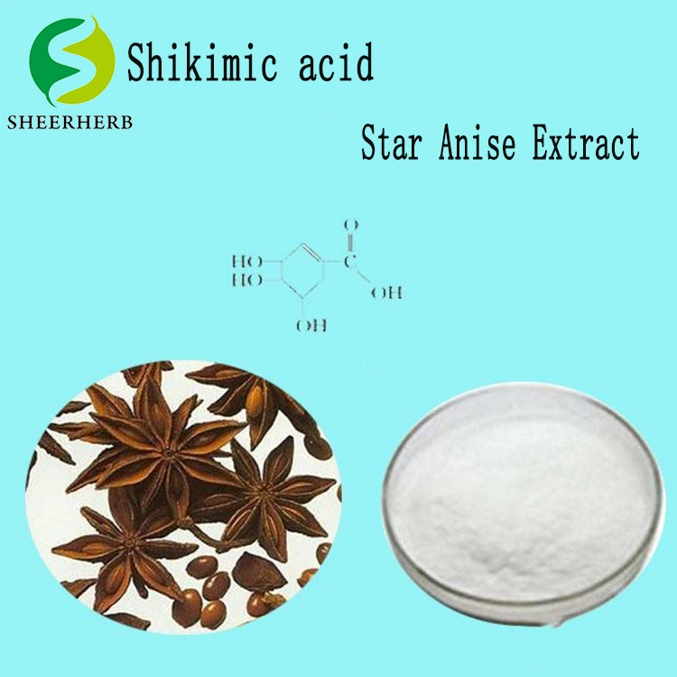 Best Quality Anise Fruit Extract Illicium Verum Extract with 99% Shikimic Acid CAS 138-59-0