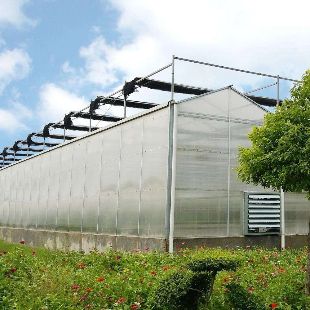 Plastic Sheet Multi-Span Agricultural Greenhouses Hydroponic Systems Commercial Garden Greenhouse