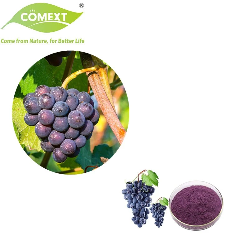 Fabricante de Comext Almacén de EE.UU. el 100% Natural Soluble en agua con zumo de uva en polvo Freeze-Dried fruta de uva en polvo