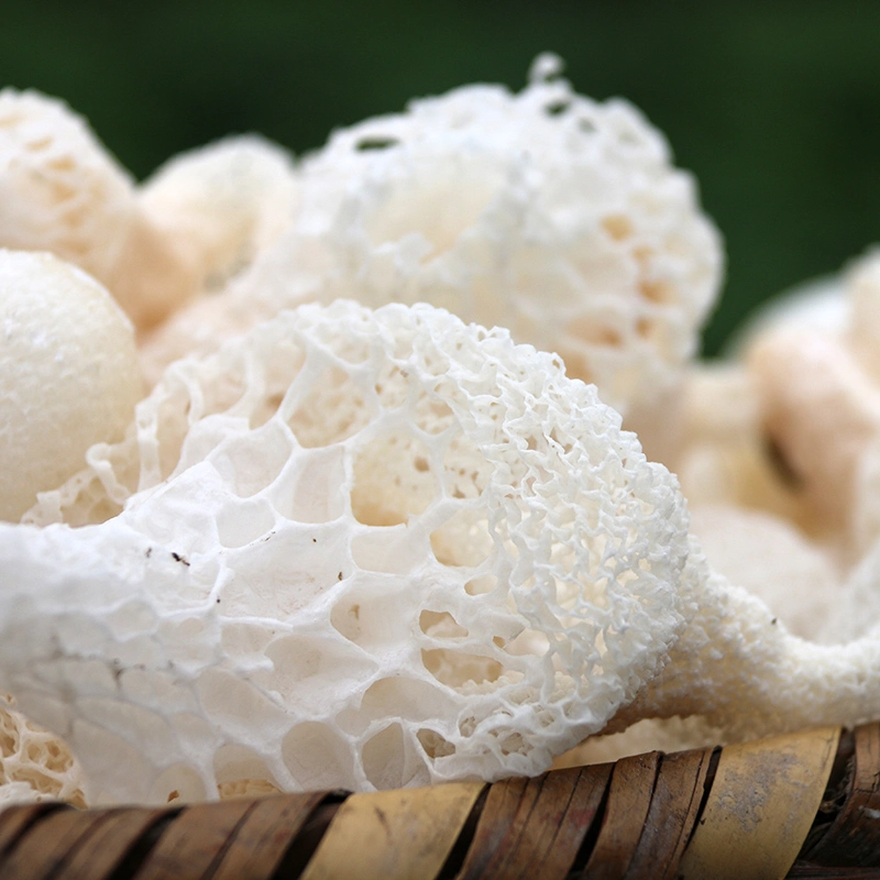 Dried Bamboo Fungus Mushroom Dictyophora Indusiata Chu-Sheng