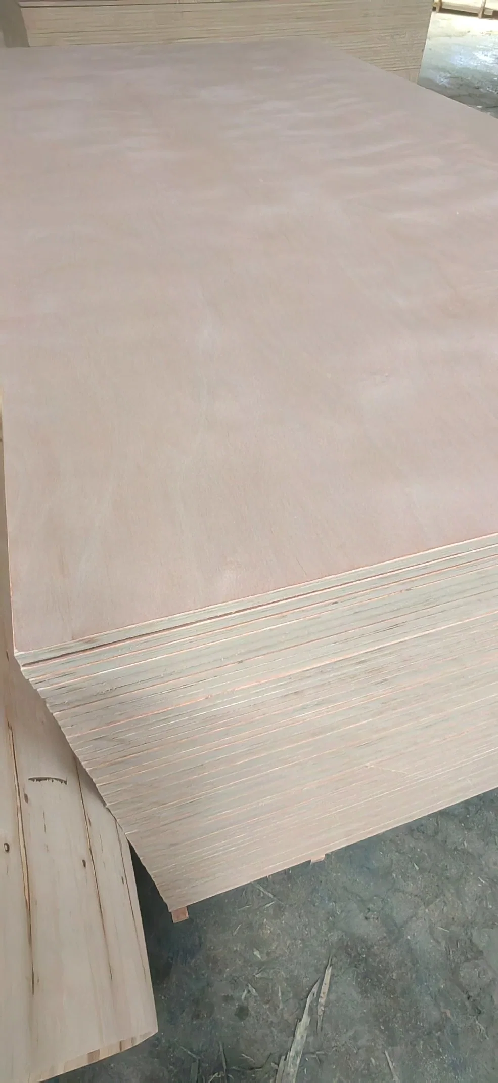 Comaccord Okoume Marine Plywood with Cheap Price