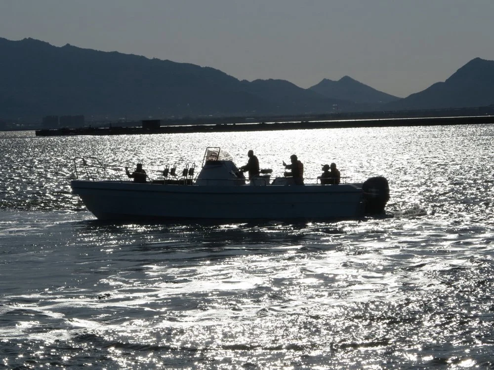 Aqualand 33 pies 10m 18 personas Fibra de vidrio Velocidad Rescate Patrulla / Taxi acuático de pasajeros / Barco de pesca deportiva y buceo con motor Panga (330c) con Certificado de Clase B CE.