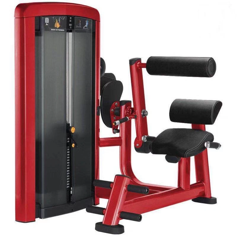 China Fitness Equipment Supplier Gym Exercise Machine/Back Extension