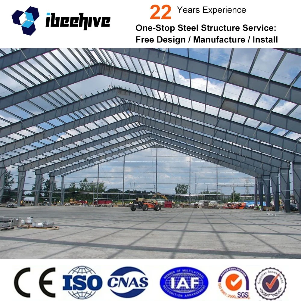 Customized Steel Structure Warehouse/Workshop/Shed/Hangar/Hall Buildings