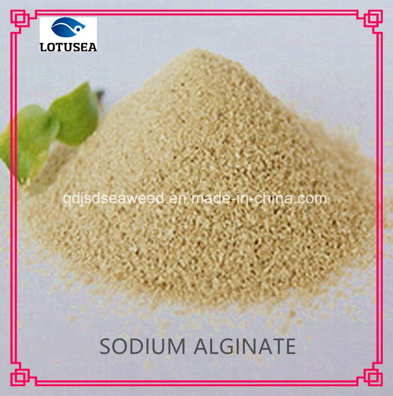 Hardwood Floor Coating Agent Sodium Alginate 100mesh