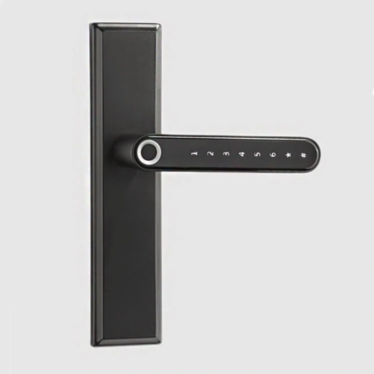 Black Double Fingerprint Door Lock Biometrics Entry Tt Lock APP Remote Control