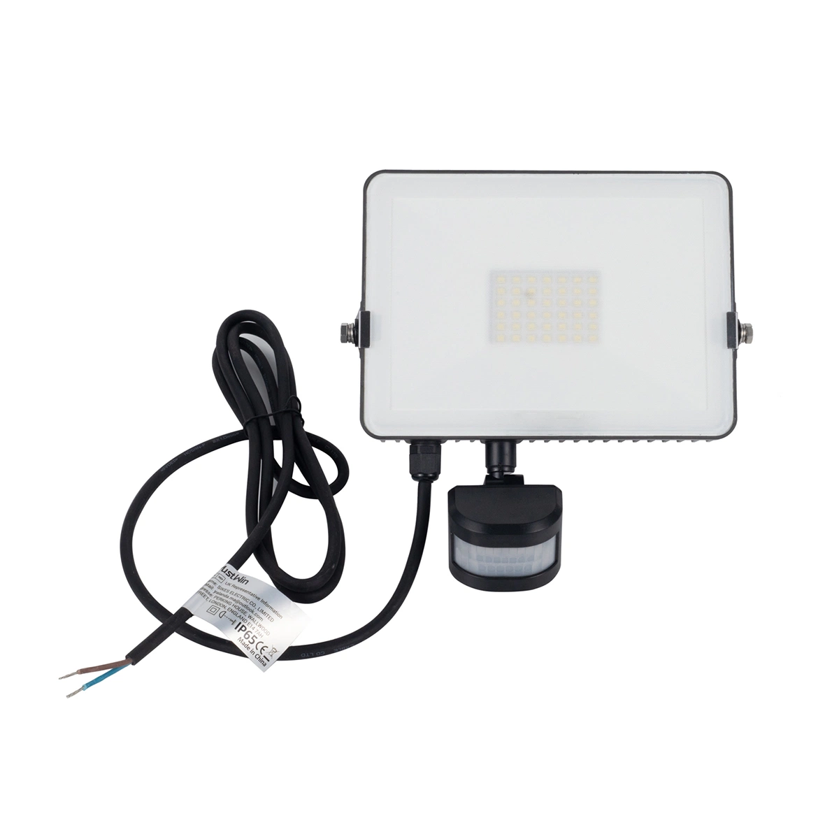 Chinese Manufacture of 20W 30W 50W 70W 100W LED Floodlight with PIR Sensor IP65 Outdoor Lamp