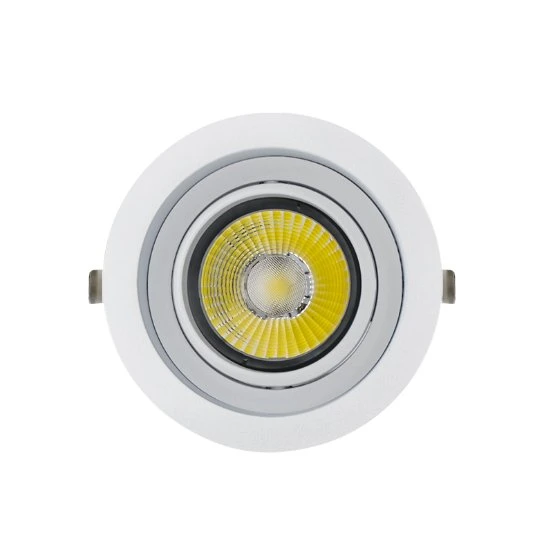 Modern Design Hot Selling COB 30W Indoor Commercial Downlight LED