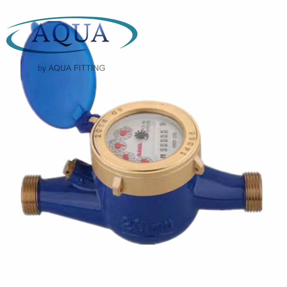 R80 Multi-Jet Type Domestic Water Meters Dry Type