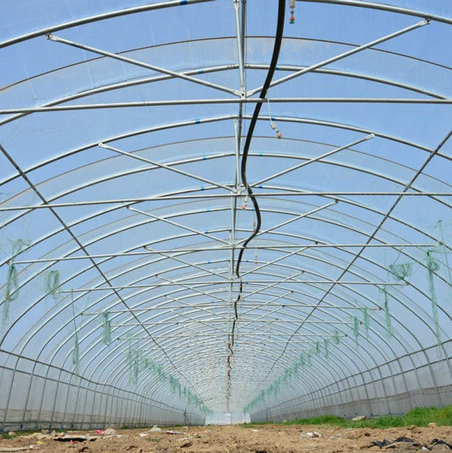 China Single Span Tunnel Greenhouse Made Used for Agriculture