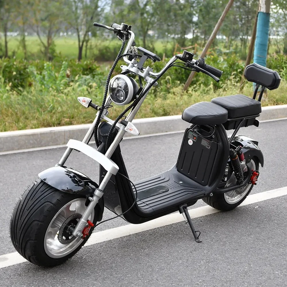 Citycoco Electric scooter de 2 rodas com pneu gordo popular 2000W 60 V CE com bateria de lítio amovível de 1500 W - 2000 W, 30 - 50 km/H, 6 - 8 h.