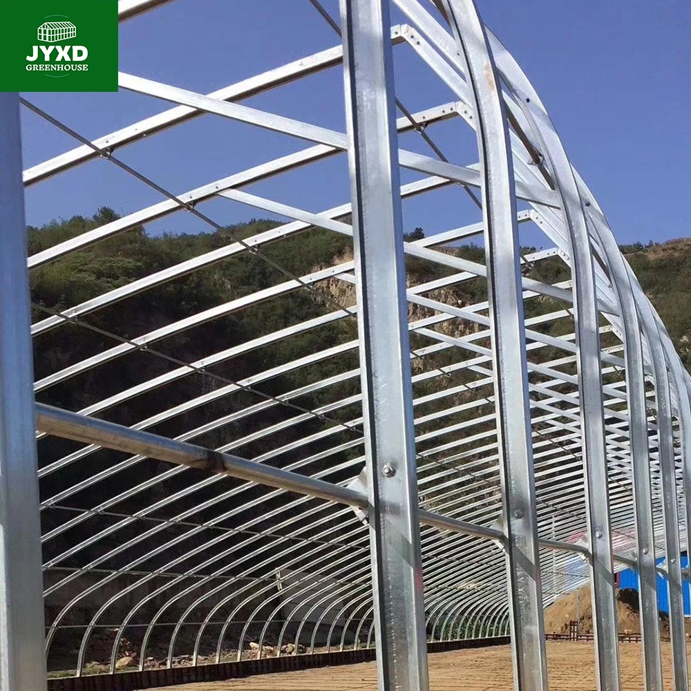 Modern U Section Frame Agricultural Greenhouse with Film-Rolling System for Vegetable/Flower/Cucumber/Lettuce/Pepper/Strawberry/Blueberry