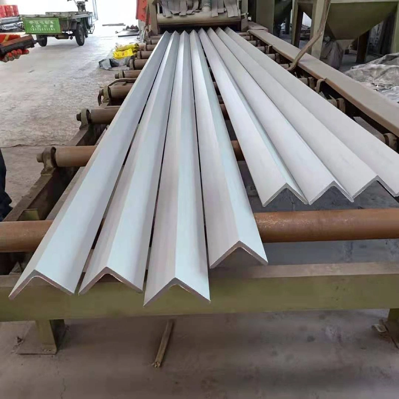 Profession Design Hot/Cold Rolled 304 Stainless Steel Angle Bar Steel