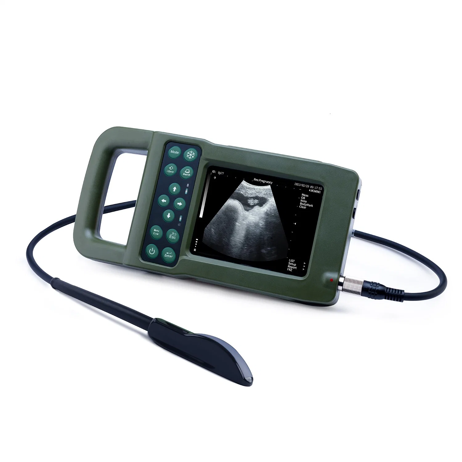 Large Animal Veterinary Ultrasound Scanner Palm Design