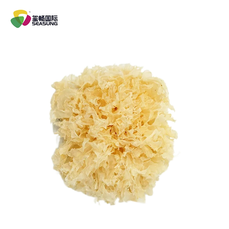 China Wholesale/Supplier Fresh Yin Er Tremella White Snow Fungus for Mushroom Dishes