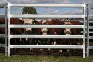 Low Price Wholesale/Supplier Corral Panel Cattle Yard Fence Galvanized Livestock Panels for Sale