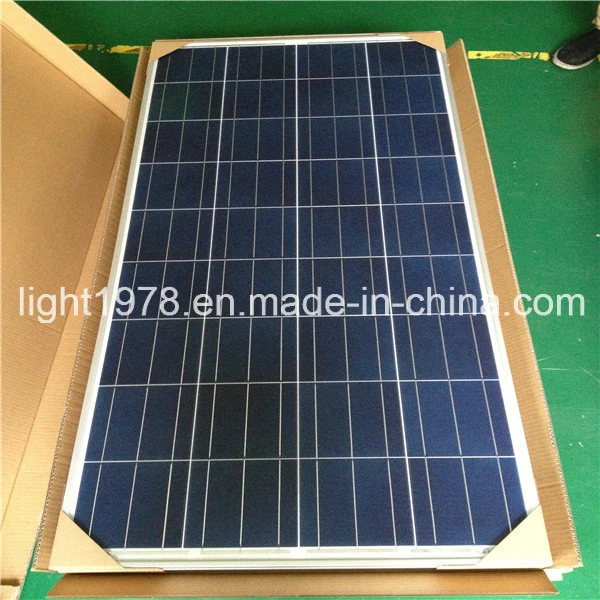 New Products on China Market Solar Energy Street Light with 6m Pole