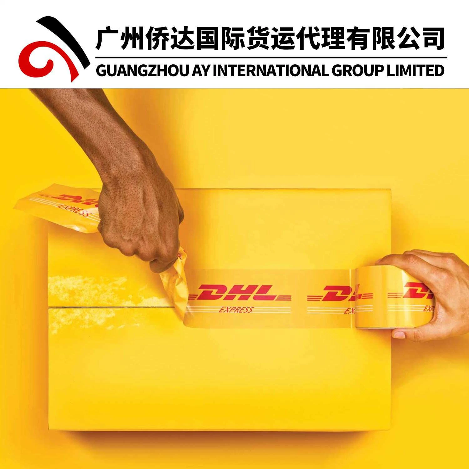 DDP/DDU/Fob/CIF Amazon Fba Shipping From Shenzhen to Dubai by Express Courier Service