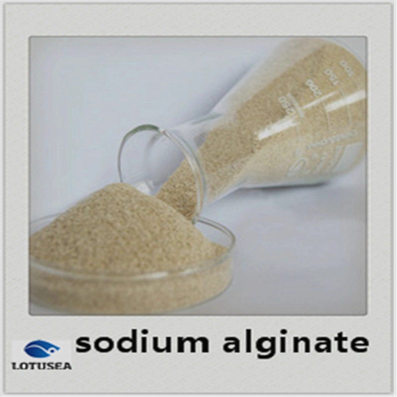 200mesh Industrial Sodium Alginate 6000cps for Textile Grade