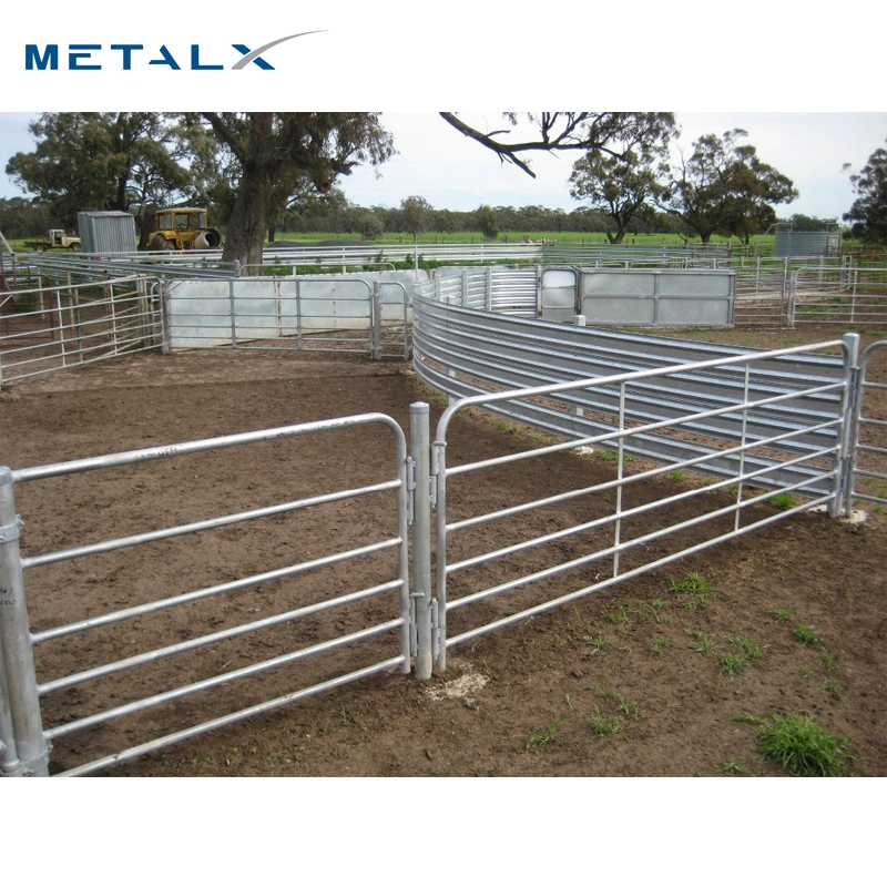 Tubería galvanizada Ganadería flexible Metal barato Australia usó ovejas Yardas Horse Cattle Fence Panels