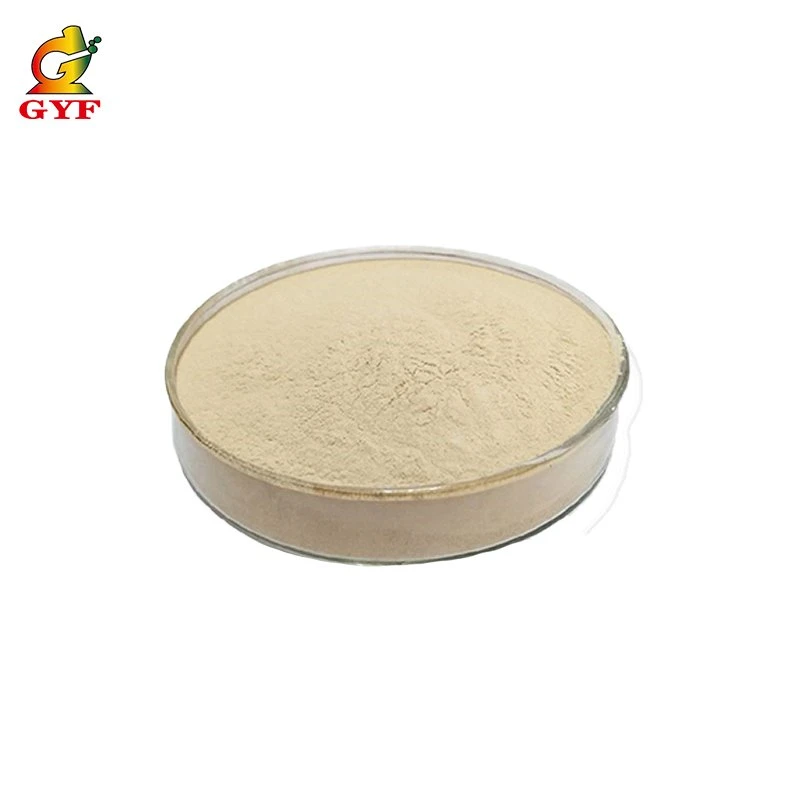 Food Grade/Industrial Grade/40 Mesh/80 Mesh/200 Mesh/CAS No. 11138-66-2/Xanthan Gum