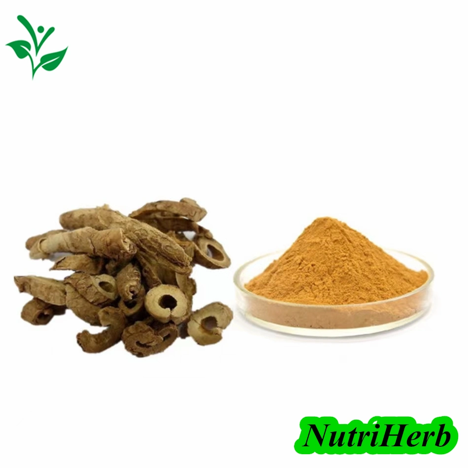 Bulk Supply Siberian Eleuthero Root Extract Eleutheroside Siberian Ginseng Powder