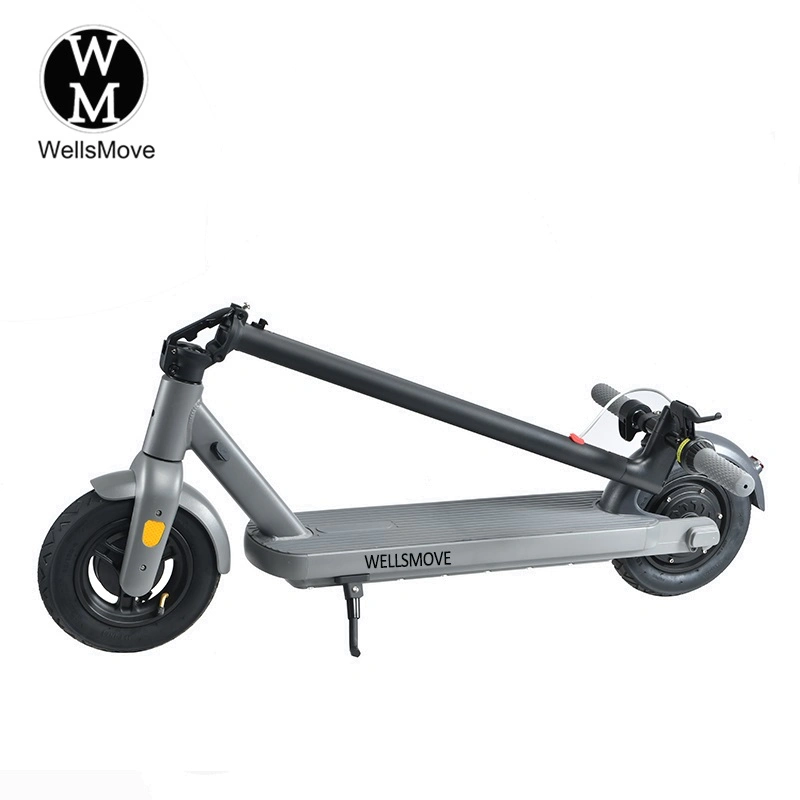 350W 36V 10pulgadas Trottinette Electrique Motor trasero de la batería de litio Scooter eléctrico