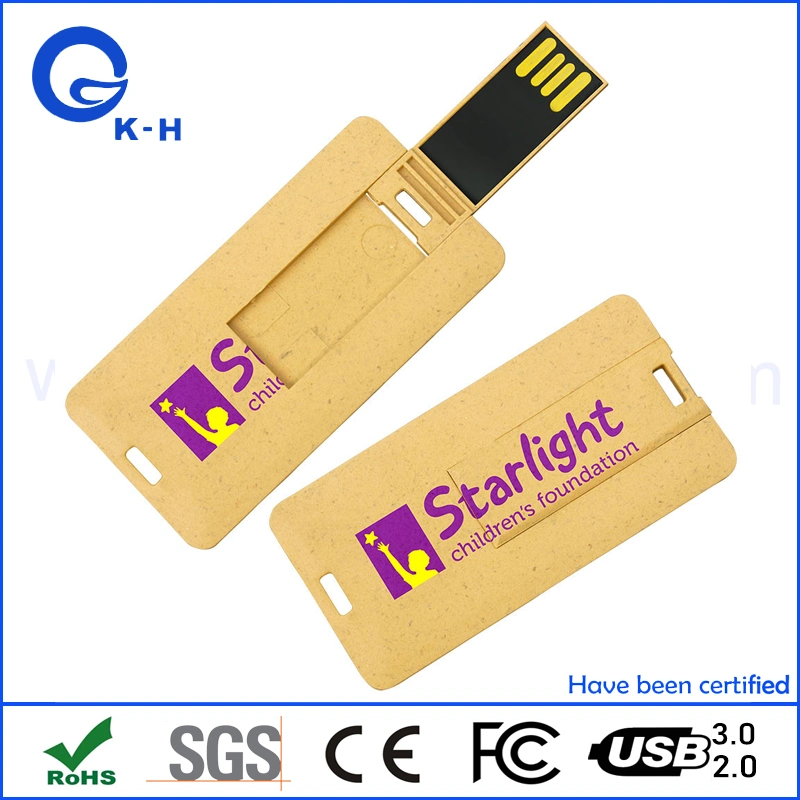 Eco-Friendly USB 2.0 3.0 Flash Memory Stick 128GB 256GB