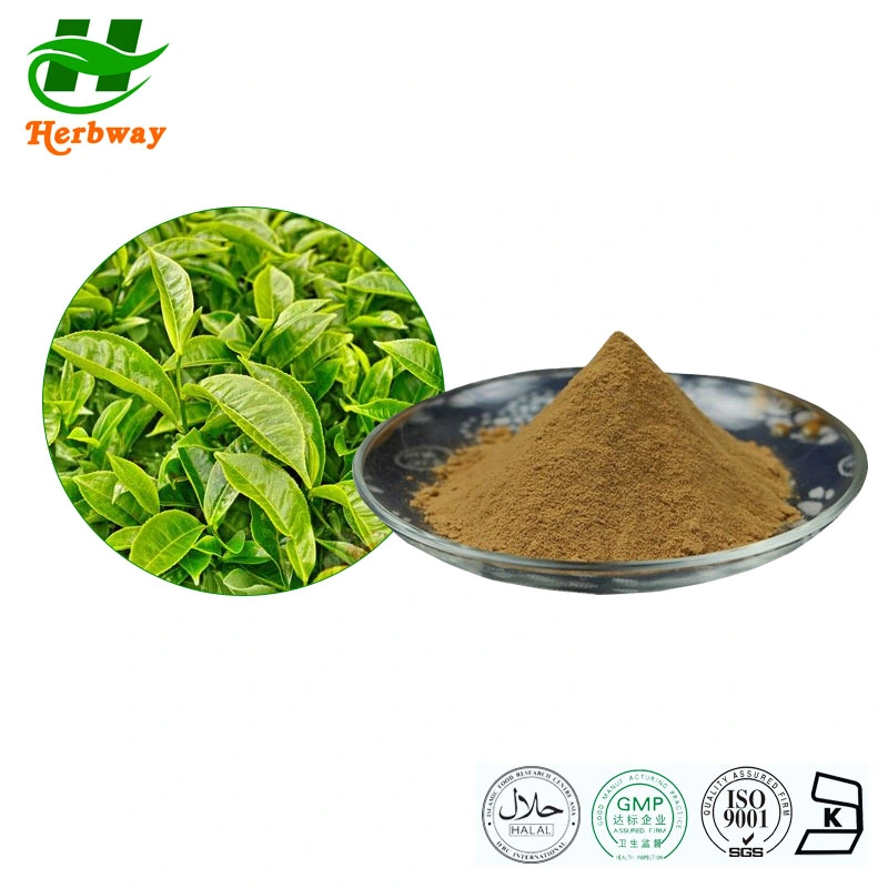 Herbway Manufacturer Low Price Free Sample Tea Powder Tea Leaf Powder Tea Polyphenols EGCG Green Tea Leaf Extract for Loss Weight Cosmetics Feed Additives