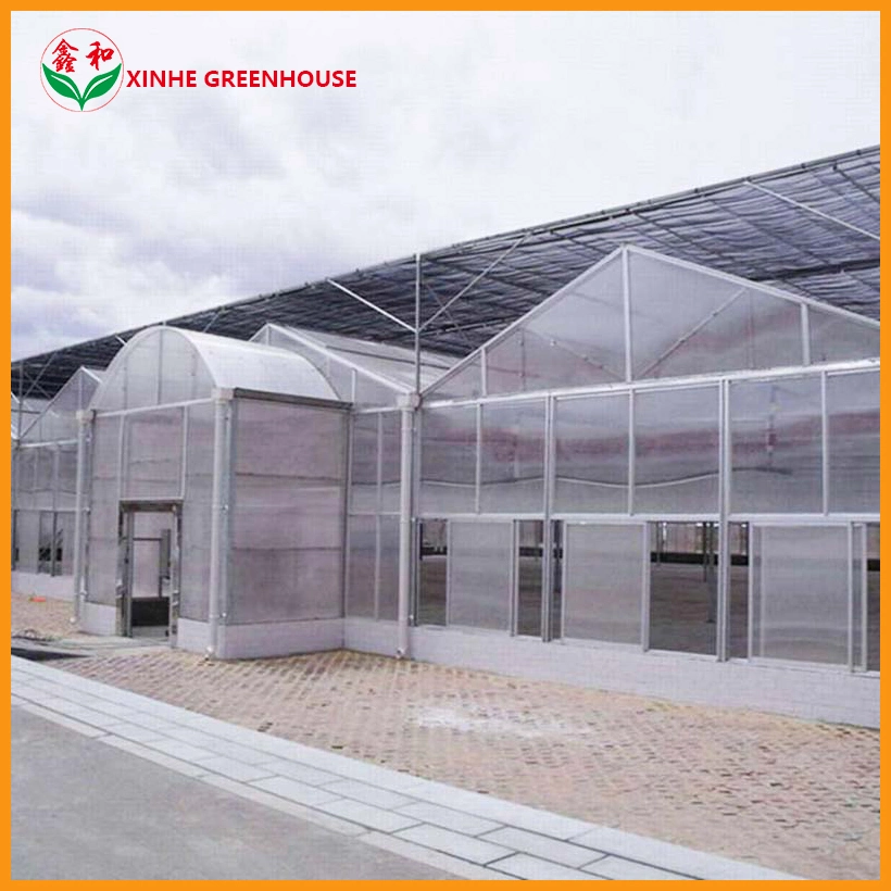 Farming PC Sheet Greenhouse Serre for Vegetable Planting Flowers Growing