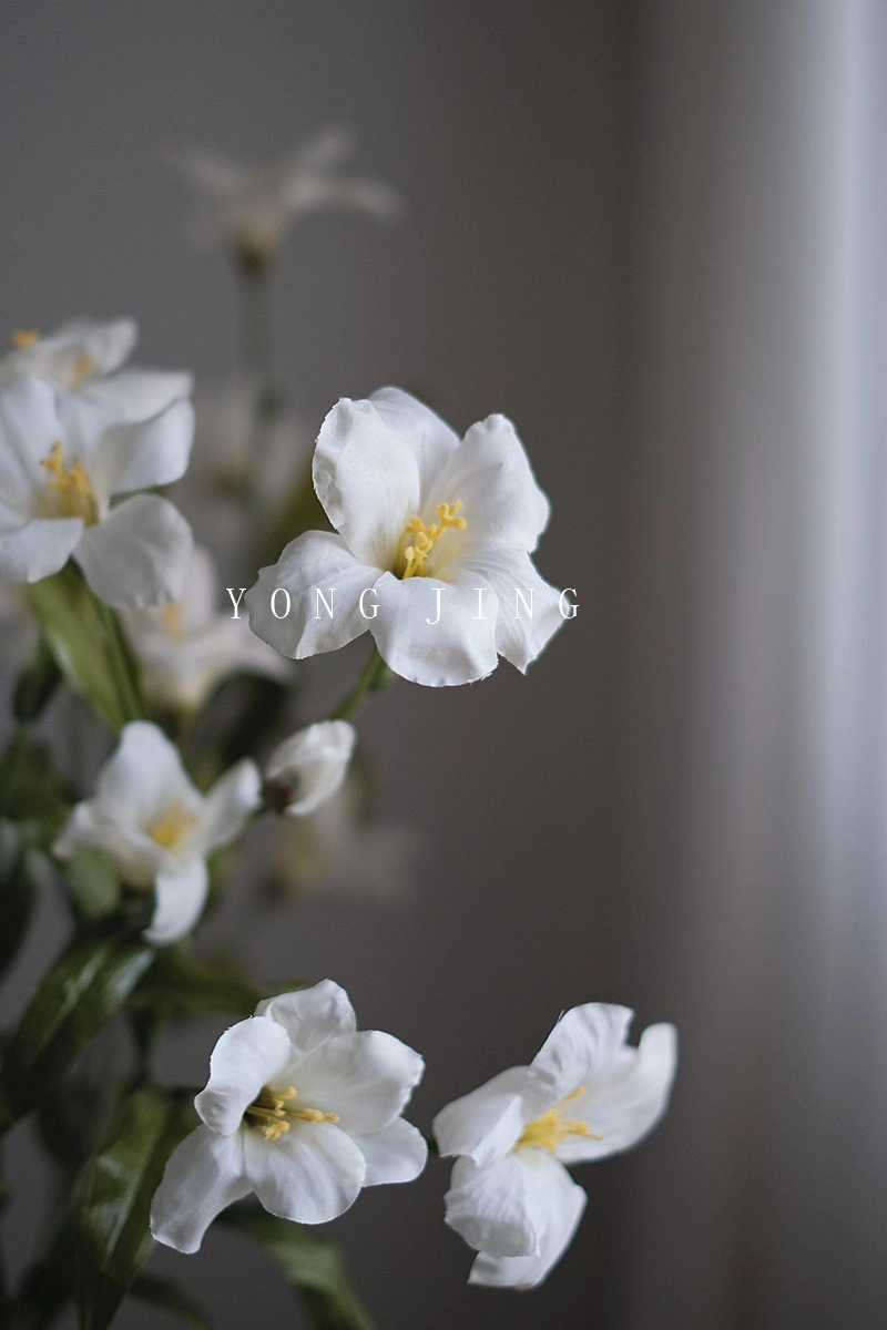 Ja230067 Tung decorativas flores artificiales de Flores Flor blanca de alta calidad Wed Decoración Hogar Decoración de jardín regalo