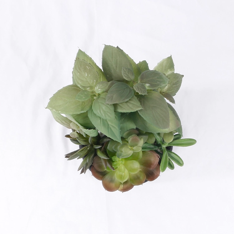 Mini plantas artificiales Faux Succulents decoración del hogar Korean Succulents