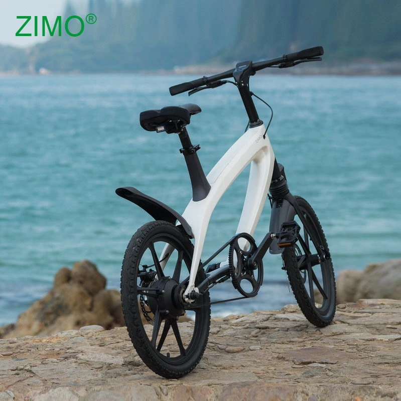 2023 20Inch Fat Tire Sport Electric E Bike with 6Ah Lithium Battery