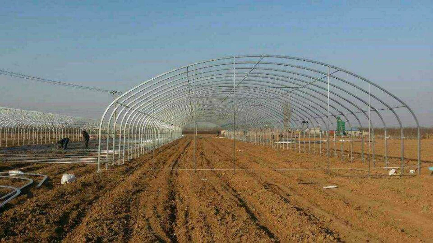 Low Cost Agriculture Galvanized Steel Frame Single Span PE Film Greenhouse