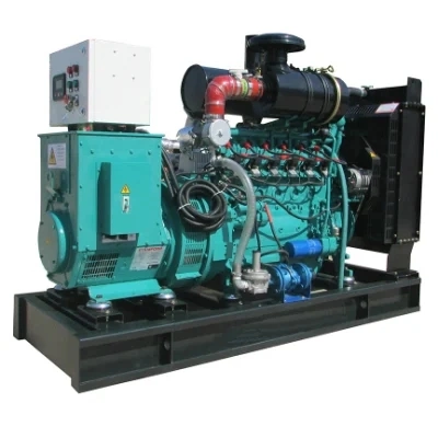 30kw 50kw 100kw 200kw 250kw 300kw 500kw 700kw 1MW Biogas Engine Generator Set Price