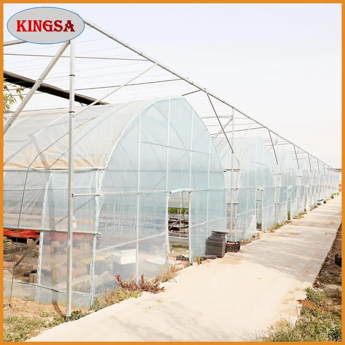 Factory Agriculture Venlo/Arch Type Multi Span Polycarbonate Sheet/Glass/Plastic Film Greenhouse for Tomato/Cucumber/Pepper/Strawberry/Flowers/Lettuce