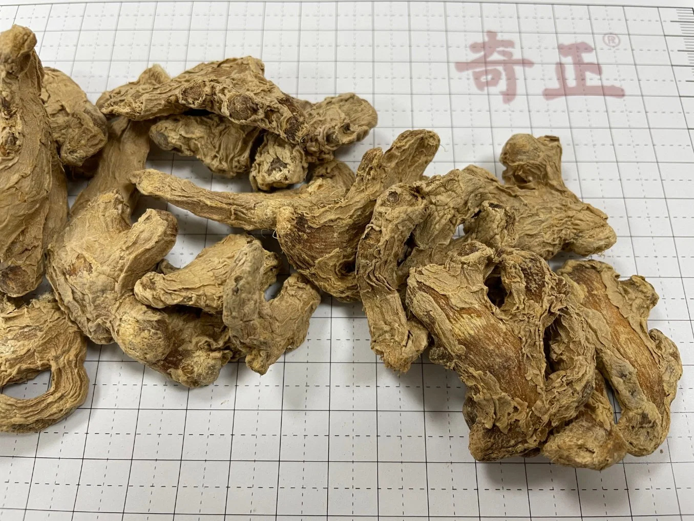 GaN Jiang Zingiberis Rhizoma Hot Sale Chinese Supplier Chinese Traditional Dry Herb