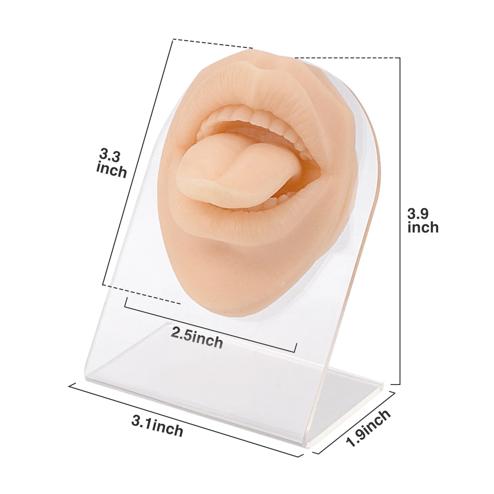 Silicone Tongue & Mouth Piercing Practice Model with Stand