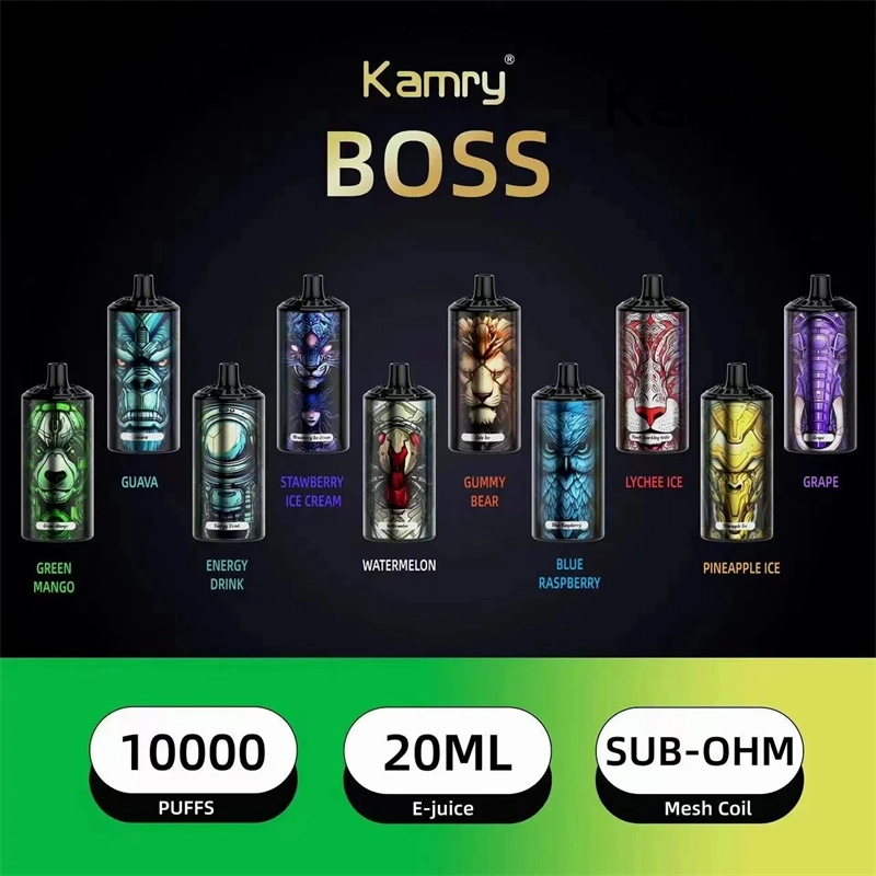 Kamry Boss Nueva llegada 10000puff Bar desechable VAPE Tipo C Carga E E cigarrillo electrónico