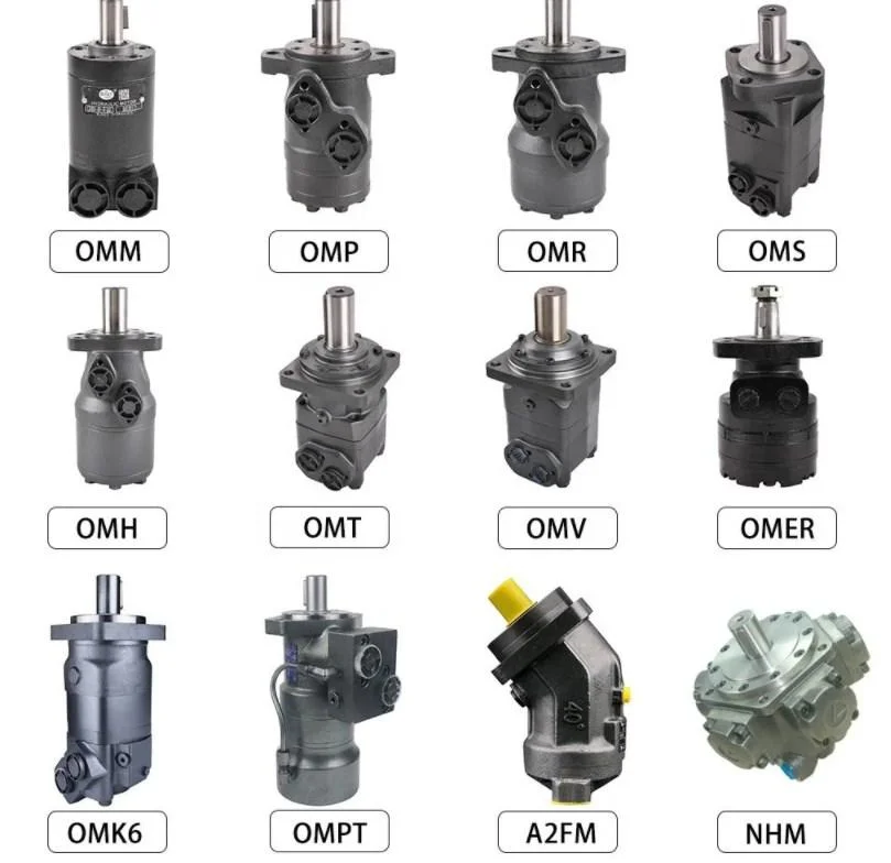 Radial Piston/Orbital/Mini Hydraulic Motor Gear/Gerotor/Oil/Drive Wheel Motor Sauer Xinlaifu Poclain Eaton Vickers Kawasaki Staffa