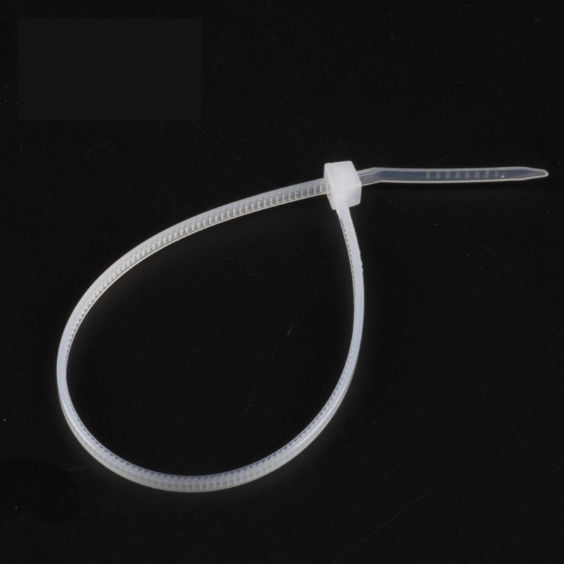 Professional Nylon66 Cable Zip Ties and Other Wiring Accessories Manufacturer