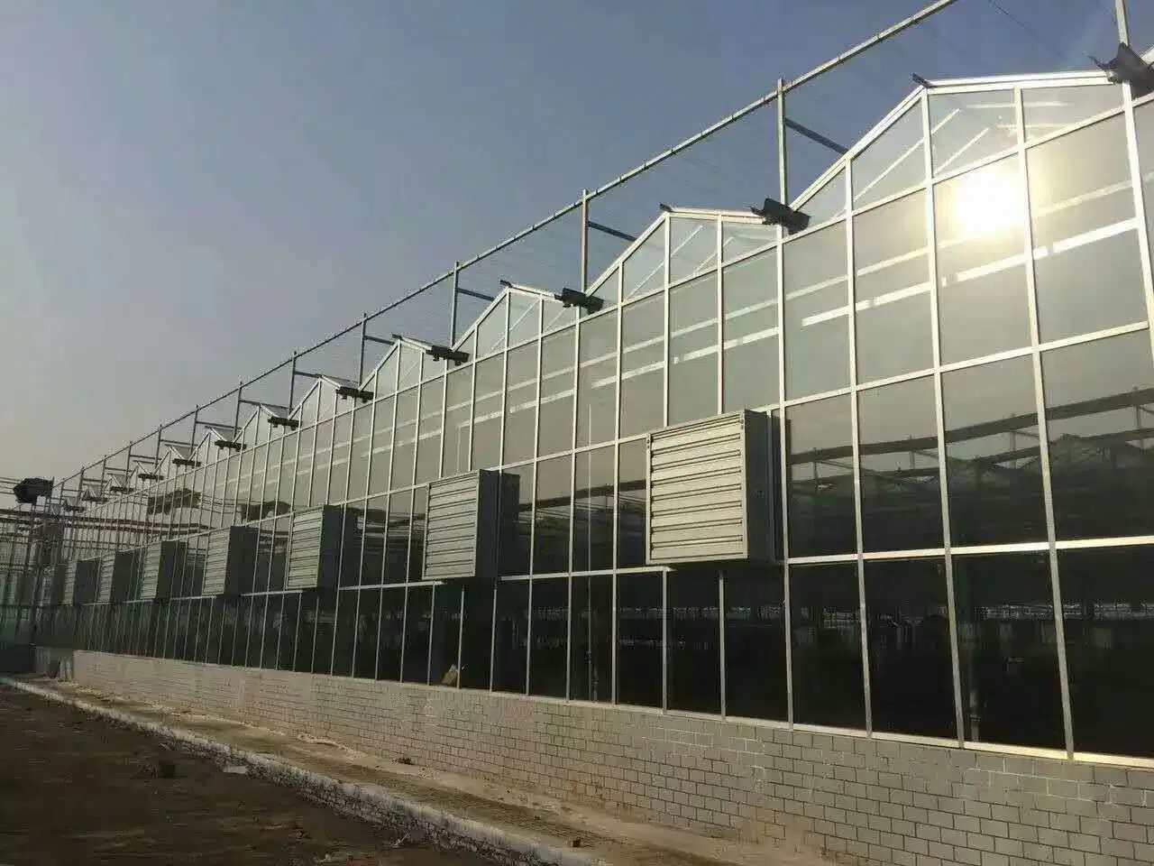 Smart Sunlight Glass Greenhouse with Automatic Irrigation System for Strawberry/Citrus/Dragon Fruit/Watermelon