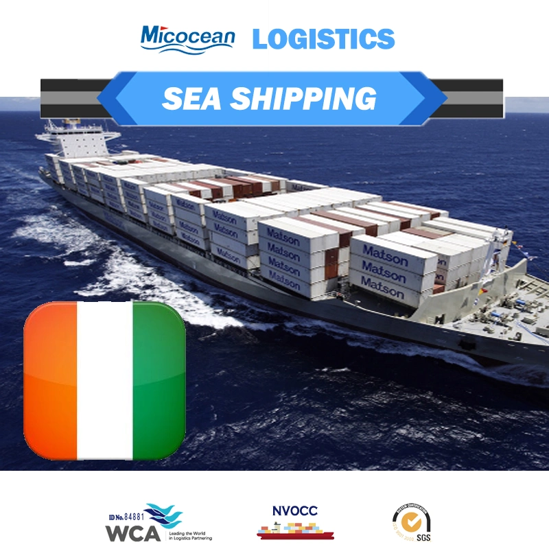 FCL LCL Sea Freight Forwarder From China to Ivory Coast with Customs Clearance